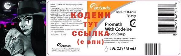 прущие грибы Богородск