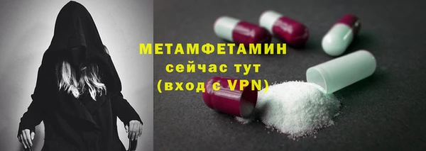 прущие грибы Богородск