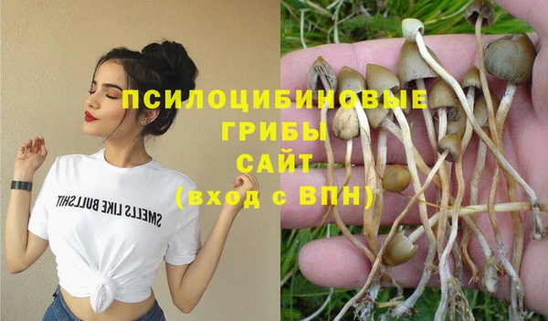 прущие грибы Богородск