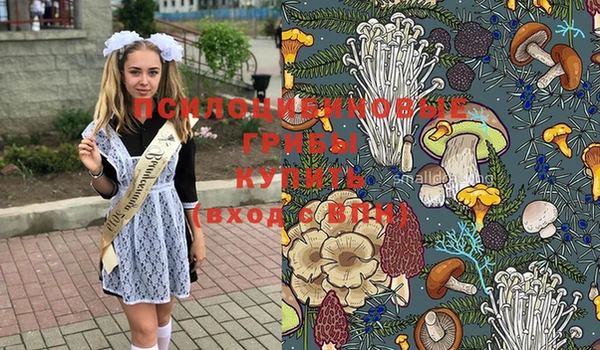 прущие грибы Богородск