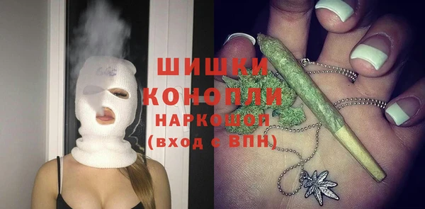 прущие грибы Богородск
